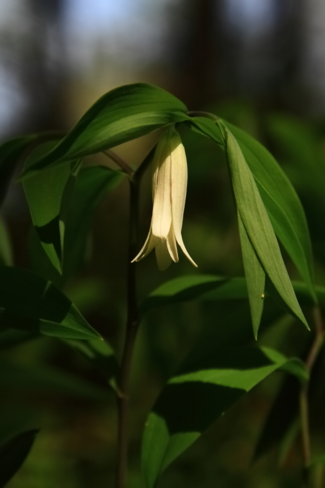 2011 05 01 IMG 30107